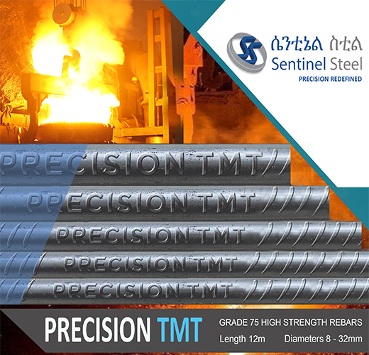 Sentinel Steel