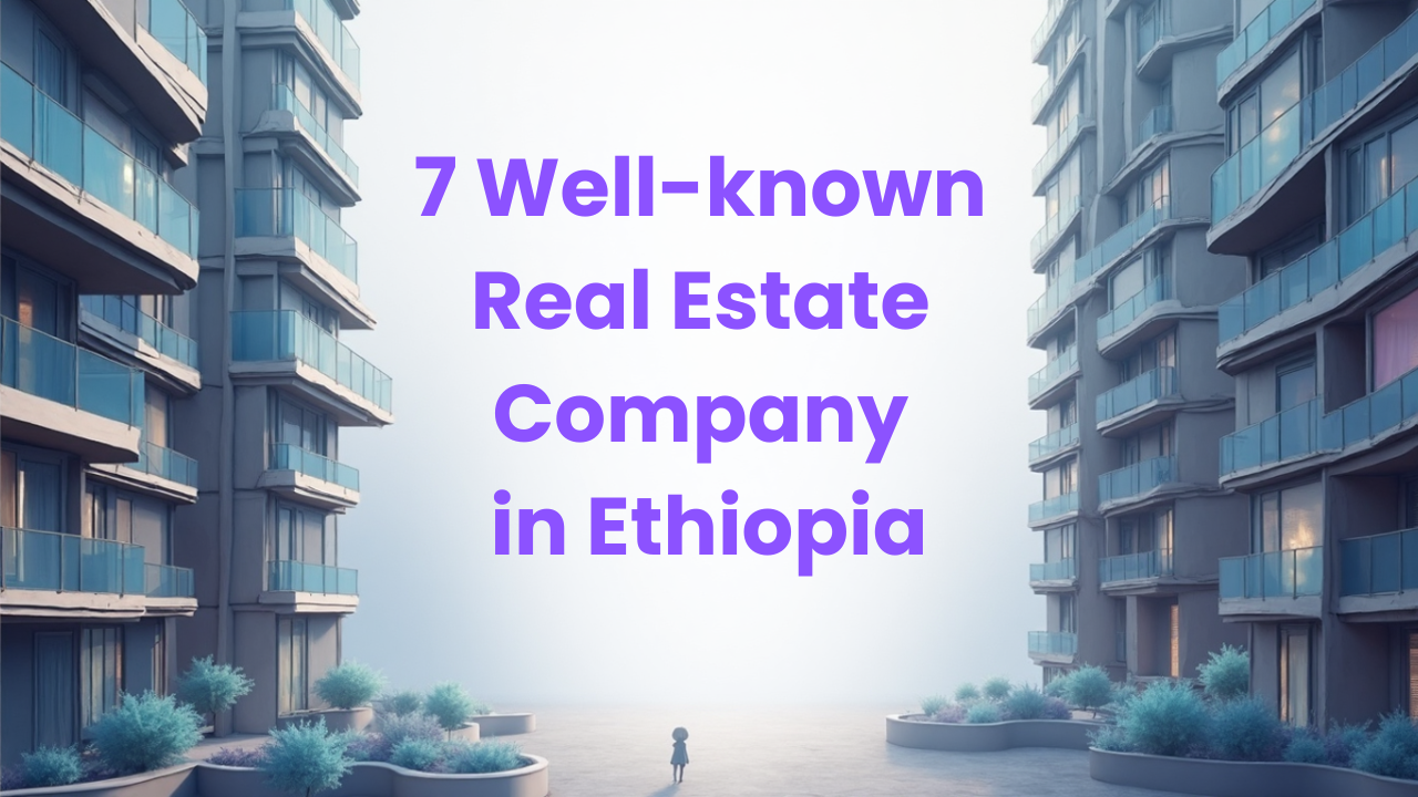 7 Well-known Real Estate Companies in Ethiopia